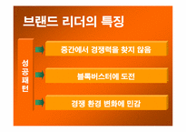 [조직행동] 현대적 리더쉽 -컬러리더십-15