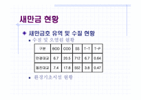 [정책분석론] 새만금사업 정책 분석-8
