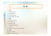 [조직행동론] 조직문화-2