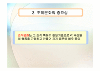 [조직행동론] 조직문화-6
