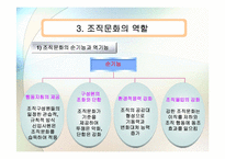 [조직행동론] 조직문화-13