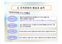 [조직행동론] 조직문화-17