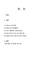 [국제전략] 엔씨소프트(nc소프트)의 글로벌화 전략-2