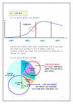 [국제경영전략] 중국시장에서의 삼성 `Anycall`(애니콜) 명품전략-5