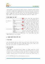 [국제경영학] 민들레영토의 해외진출전략-10