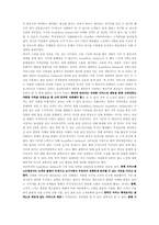 `SouthWest Airlines`사우스웨스트사의 경영전략-4