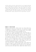 `SouthWest Airlines`사우스웨스트사의 경영전략-9