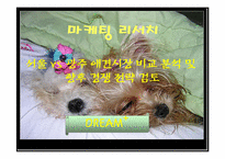 [마케팅조사]애견시장 비교 분석 및 향후 경쟁 전략 검토-1