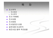 [마케팅조사]애견시장 비교 분석 및 향후 경쟁 전략 검토-2