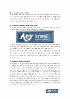 [사업계획서] 여행상품을 고객의 자유입찰하는 여행사-6