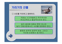 [조직행동] ‘겅호’를 읽고-16