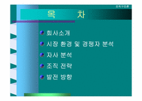 [조직구조론] 안철수연구소 조직구조-2