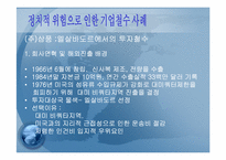 정치적위험성과 기업에 대해서-7