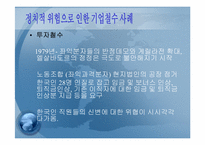 정치적위험성과 기업에 대해서-8