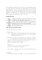 [인적자원개발] SK의 인적자원개발(HRD)-7