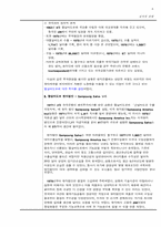 [글로벌경영전략] 정치적위험성과 기업에 대해서-6
