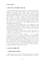 [다국적기업론] NOKIA 노키아의 국제화전략-4