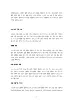 [다국적기업] 자동차산업 르노-닛산의 전략적제휴-11