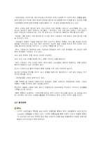 [국제기업론] 로레알 국제경영사례분석-10