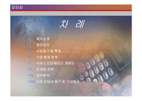 [사업계획서] 휴대용 이동통신 기기의 콘텐츠 서비스 제공-2