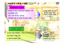 [정보시스템] 현대백화점 CRM사례 분석-11