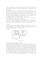 [유통전략] 백화점과 할인점 비교-13