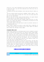 종합할인점과 SSM의 비교분석-6
