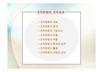 [조직문화] 조직문화와 조직성과-2