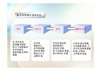 [조직문화] 조직문화와 조직성과-15
