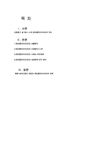 [히트상품분석] 레인콤(아이리버)의 마케팅전략-1