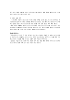 [히트상품분석] 레인콤(아이리버)의 마케팅전략-10
