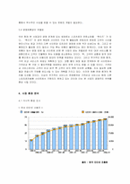 [사업계획서] 레저스포츠 대여,판매 사이트-5