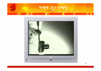[광고의 선정성] 대중매체와 광고 그리고 선정성-11