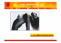 [광고의 선정성] 대중매체와 광고 그리고 선정성-16