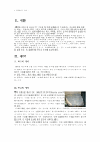 [광고의 선정성] 대중매체와 광고 그리고 선정성-3