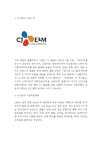 CJ E&M 기업현황과 경영전략분석및 CJ E&M 향후전략수립 - CJ E&M 기업전략연구 레포트-3