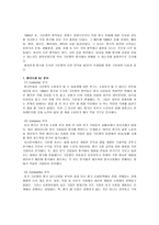 크린랲의 중국시장 진출 성공 사례 분석 - 글로벌 시대의 중국시장과 중국 투자-5