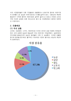 글로벌 시대의 중국시장과 중국투자 _ 농심 신라면의 중국시장 진출 사례-4