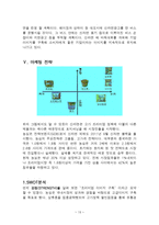 글로벌 시대의 중국시장과 중국투자 _ 농심 신라면의 중국시장 진출 사례-13