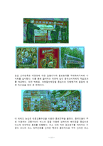 글로벌 시대의 중국시장과 중국투자 _ 농심 신라면의 중국시장 진출 사례-17