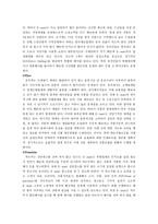중국투자론 - 이마트의 중국시장-9