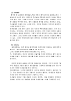베이징 현대자동차 마케팅 분석 사례 - 현대자동차의 중국시장 진출 및 성장 사례-4