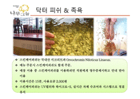 나무 그늘 - 기업 소개 서비스 흐름도 청사진 기술-17
