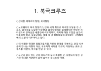 북극 크루즈 레포트-3
