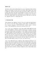 중국투자론 - 차이나머니의 해외투자 방향과 시사점-2
