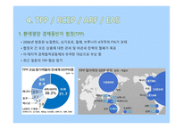 국제지역연구 - APEC-15