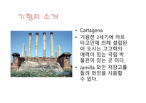 CURINARY WINE DELIGHTS Ⅱ 크루즈 선사 기항지 일정-13