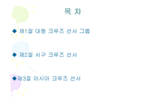 크루즈 선사 - 대형 크루즈 선사 그룹 서구 아시아 크루즈 선사-2