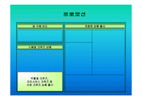 크루즈 산업론 레포트-11