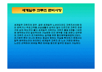 크루즈 산업론 레포트-17